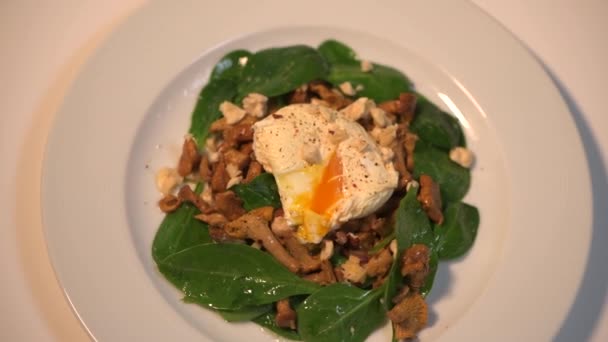 Receita de ovo escalfado com chá preto cortado com uma faca, salada quente de chanterelles — Vídeo de Stock