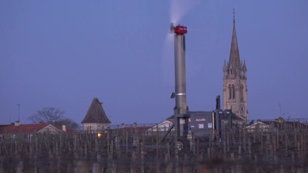 FRANCE, 03-20-2021, girl, POMEROL, WIND TURBINES are used as AIR STIRRERS in VINEYARD DURING SUB-ZERO TEMPERATUS OF MARS 2021, BORDEAUX VINEYARD — 비디오