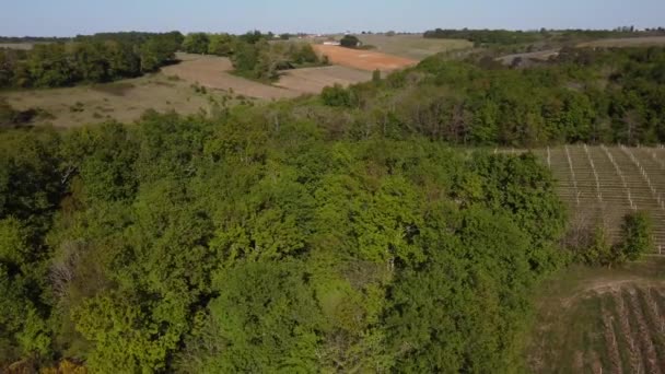 Bela paisagem aérea da paisagem rural francesa e suas vinhas, Gironde, França — Vídeo de Stock