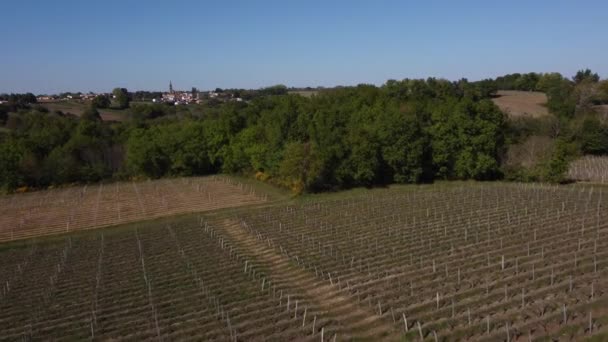 Gyönyörű légi táj a francia vidék és a szőlőültetvények, Gironde, Franciaország — Stock videók