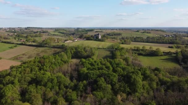 Vista aérea da vinha na primavera, Bordeaux Vineyard, Gironde, França — Vídeo de Stock