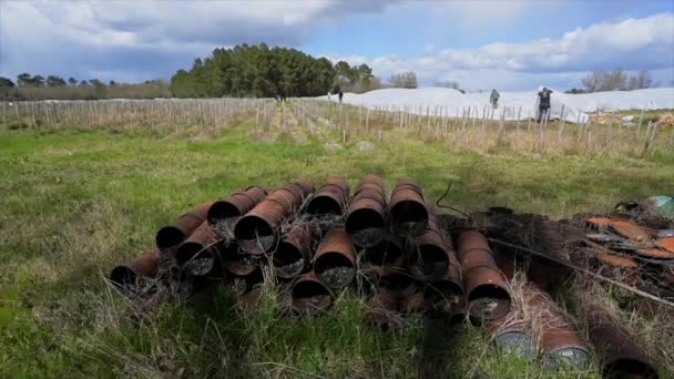 France, Gironde, April 2022, Fighting frost in the Bordeaux vineyards using geotextile fabric, The fight against the frost the French vineyard — Wideo stockowe