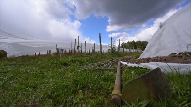 Franciaország, Gironde, Április 2022, Küzdelem fagy a Bordeaux szőlőskertek segítségével geotextilszövet, A harc a fagy ellen a francia szőlő — Stock videók