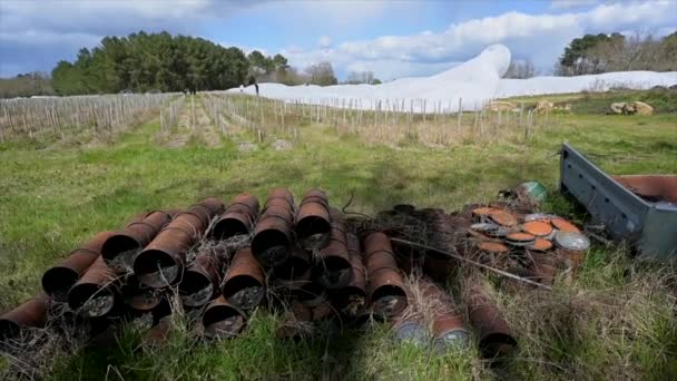 Franciaország, Gironde, Április 2022, Küzdelem fagy a Bordeaux szőlőskertek segítségével geotextilszövet, A harc a fagy ellen a francia szőlő — Stock videók