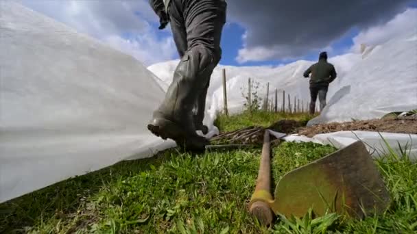 France, Gironde, April 2022, Fighting frost in the Bordeaux vineyards using geotextile fabric, The fight against the frost the French vineyard — Stockvideo