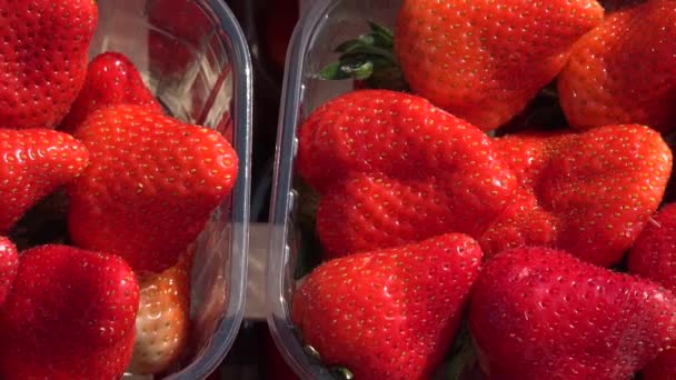 Φρέσκες νόστιμες ώριμες κόκκινες φράουλες σε πλαστικά γκρι προς πώληση — Αρχείο Βίντεο