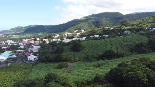 Réunion Insel Zuckerrohrfeld Landschaft Drohne Hochwertiges Filmmaterial — Stockvideo
