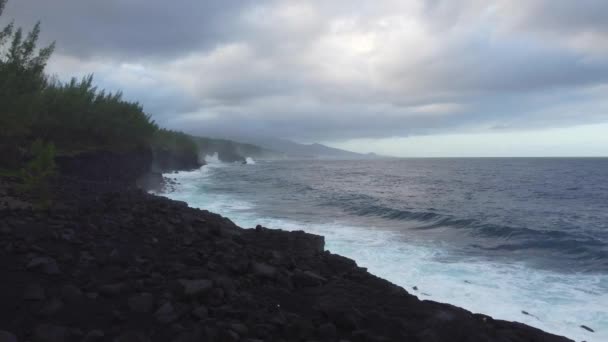サンフィリップ 再会島の火山庭園の岩 高品質のフルHd映像 — ストック動画
