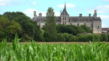 France, the renaissance castle of Cadillac in Gironde, Europe. High quality 4k footage