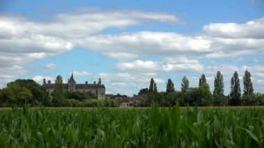 France, the renaissance castle of Cadillac in Gironde, Europe. High quality 4k footage