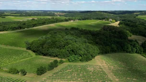 Aerial Hyper Laps View Bordeaux Vineyard Summer Landscape Vineyard High — Vídeo de Stock