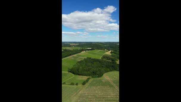 Luchtfoto Verticaal Uitzicht Bordeaux Wijngaard Zomer Landschap Wijngaard Hoge Kwaliteit — Stockvideo