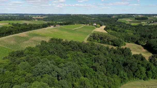 Aerial View Bordeaux Vineyard Summer Landscape Vineyard High Quality Footage — Vídeo de stock