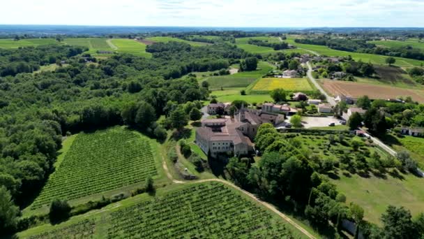 Aerial View Bordeaux Vineyard Summer Landscape Vineyard High Quality Footage — ストック動画
