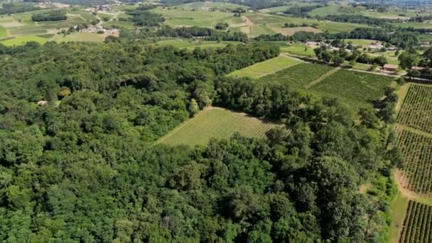 Aerial View Bordeaux Vineyard Summer Landscape Vineyard High Quality Footage — Vídeo de Stock