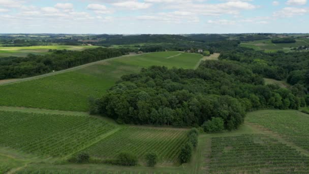 Aerial View Bordeaux Vineyard Summer Landscape Vineyard High Quality Footage — ストック動画