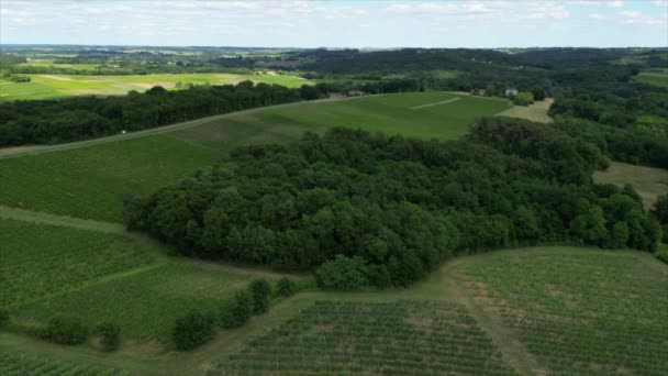 Aerial Hiper Okrążenia Widok Bordeaux Winnicy Lecie Krajobraz Winnicy Wysokiej — Wideo stockowe