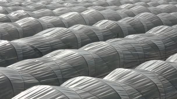 Farm Plantation Covered Agricultural Plastic Film Tunnel Rows Create Greenhouse — Stock Video