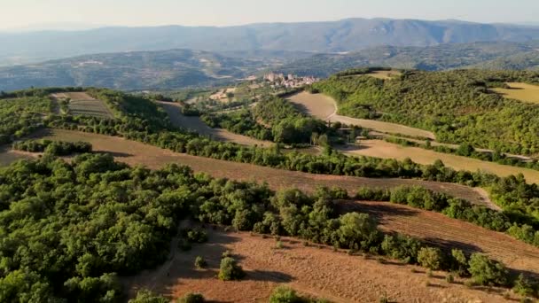 Plateau Valensole Lavender Field Sunset Haute Alpes Provence Cote Dazur — 图库视频影像