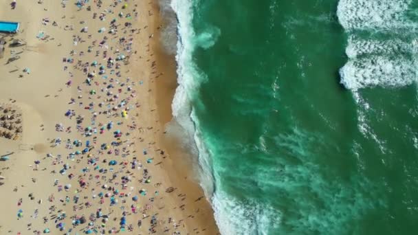 Top Aerial View Beach Summer Holidaymakers Beach Surfers Waves Basque — Vídeos de Stock
