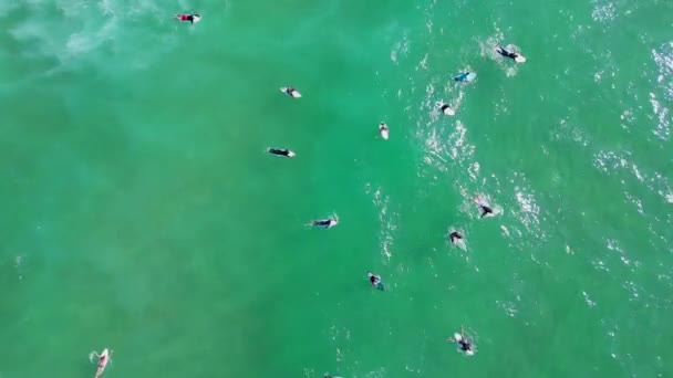 Top Aerial Surfers Shore Ride Wave Basque Country High Quality — Vídeo de stock