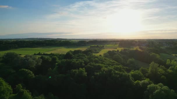 Aerial View Agricultural Countryside Forest Gironde France High Quality Footage — Vídeo de stock