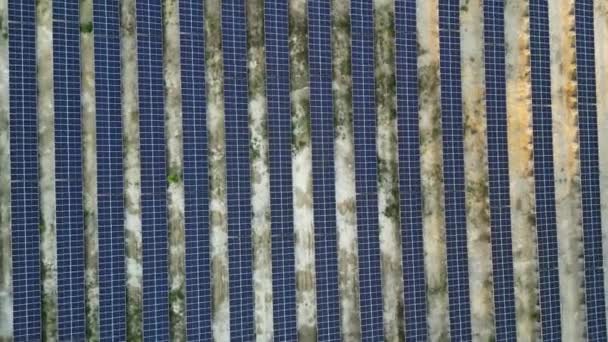 Ecology Solar Power Station Panels Fields Green Energy Landscape Electrical — Vídeos de Stock