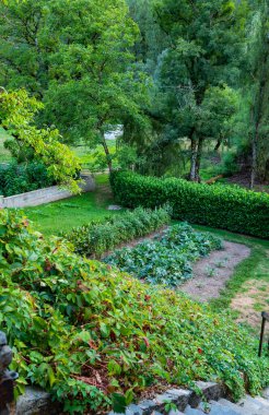 Green vegetable garden, top view. High quality photo