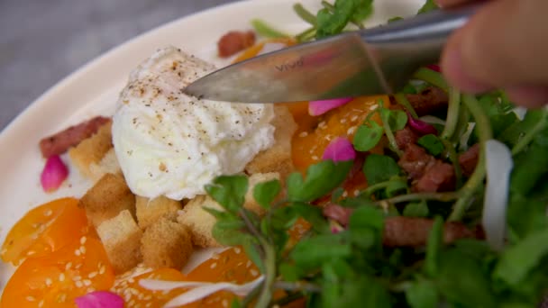 Recipe Poached Eggs Watercress Salad Tomatoes Croutons Raspberry Vinegar High — Vídeos de Stock