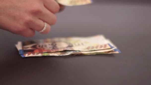 Counting Israeli money — Stock Video