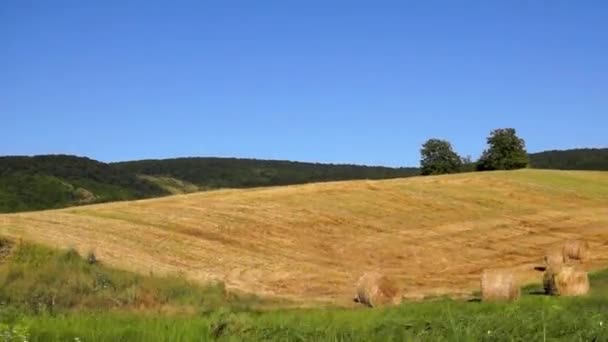 Vue du paysage des pâturages 