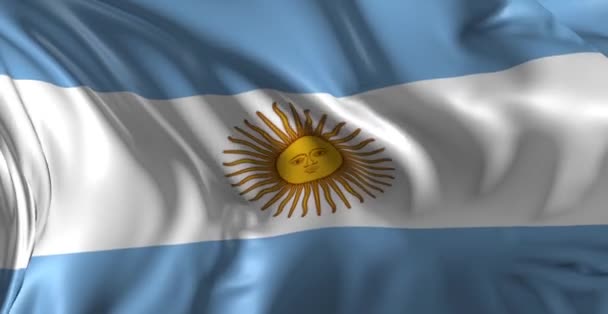 アルゼンチンの国旗 — ストック動画