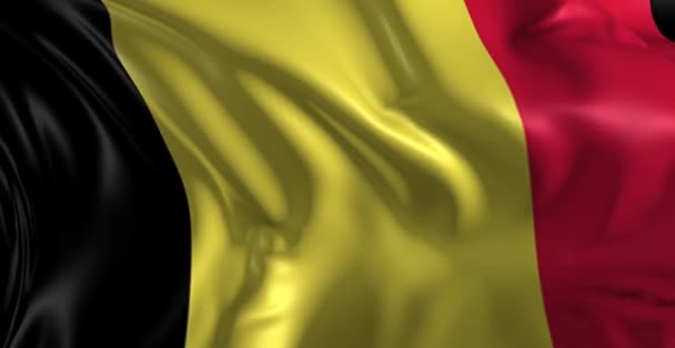Bandera de Belgium — Vídeo de stock