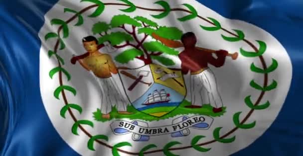 Bandeira de Belize — Vídeo de Stock