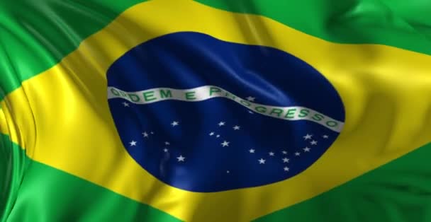 Flaga Brazylii — Wideo stockowe