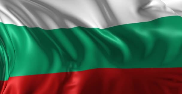 保加利亚的旗子 — 图库视频影像