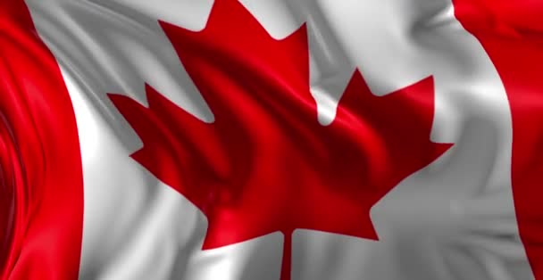 Bandeira do Canadá — Vídeo de Stock