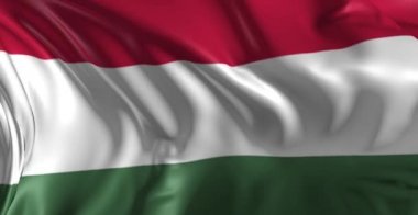 hungaria bayrağı