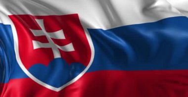 Slovakya bayrağı