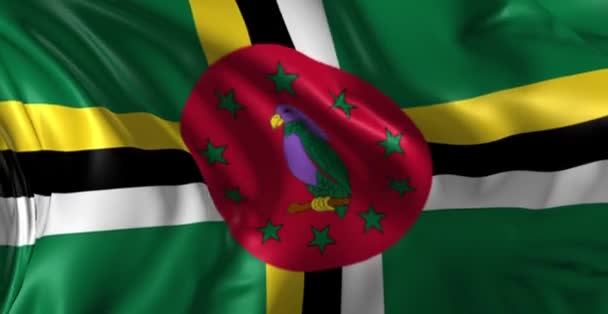 도미니카의 국기 — 비디오