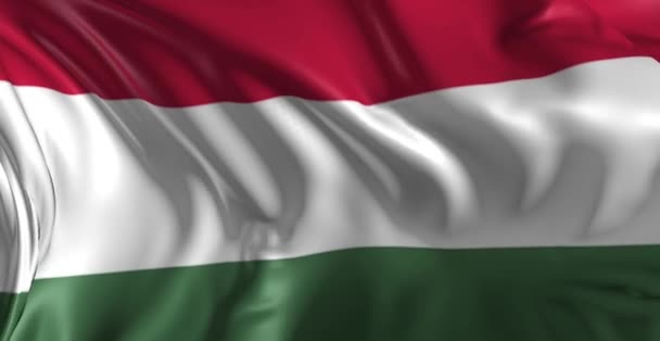 Flag of Hungaria — Stock Video