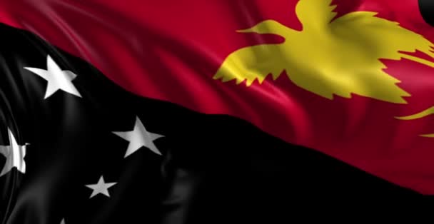 Vlajka Papuy-Nové Guineje — Stock video