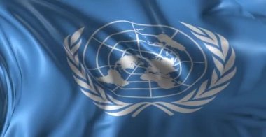 Birleşmiş Milletler bayrağı