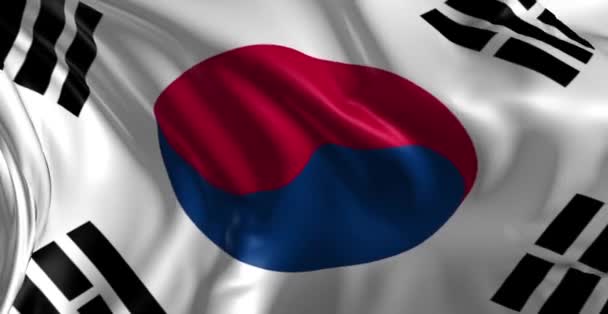 Vlag van Zuid-Korea — Stockvideo