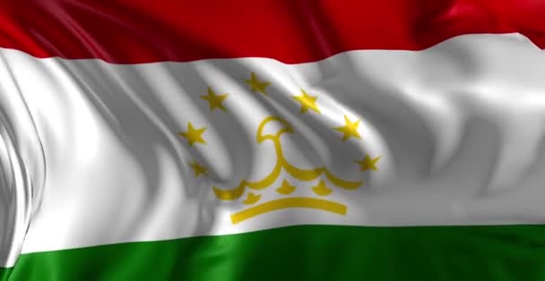 Flag of Tajikistan — Stock Video