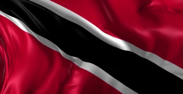 国旗的特立尼达 — 图库视频影像