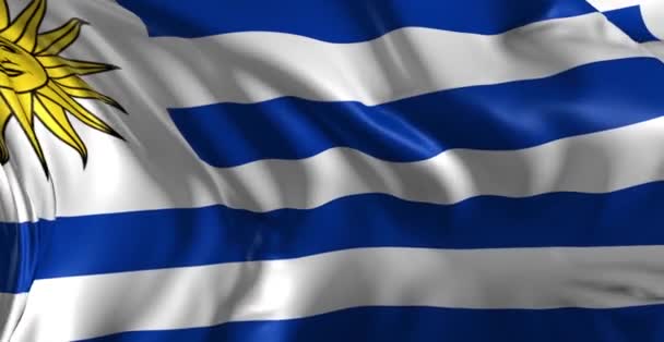 Bandera de Uruguay — Vídeos de Stock