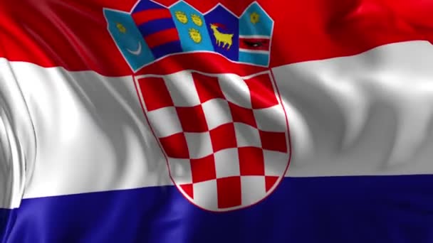 克罗地亚的旗帜 — 图库视频影像