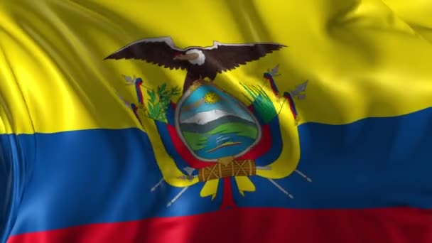 Σημαία του Ισημερινού — Αρχείο Βίντεο