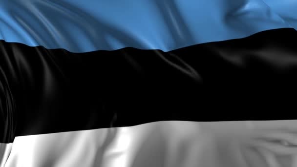 Estlands flagg – stockvideo